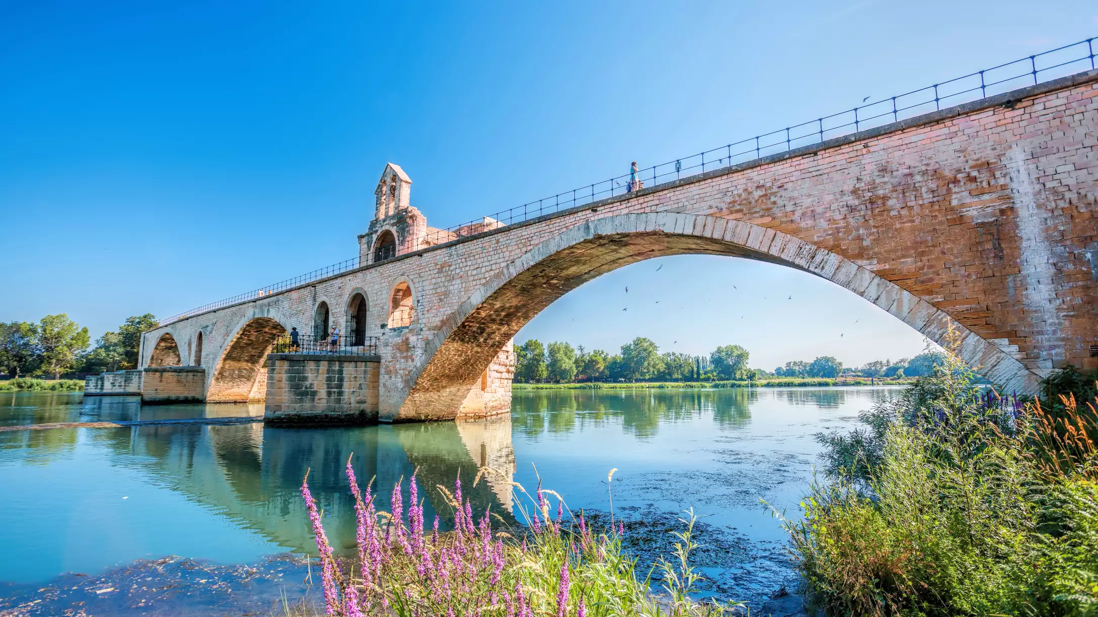 Savour the South: A Five-Star No-Fly Journey Through Burgundy & Provence