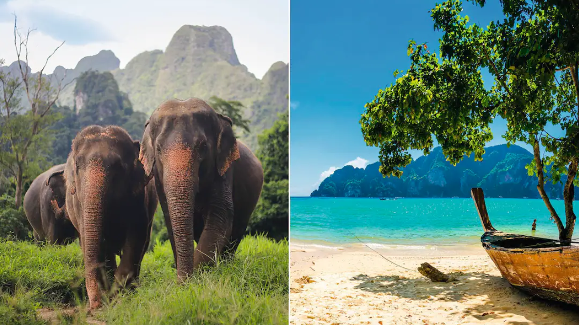Elephant Hills 🐘+ two weeks of effortless Thailand beaches & bliss ✈️🇹🇭